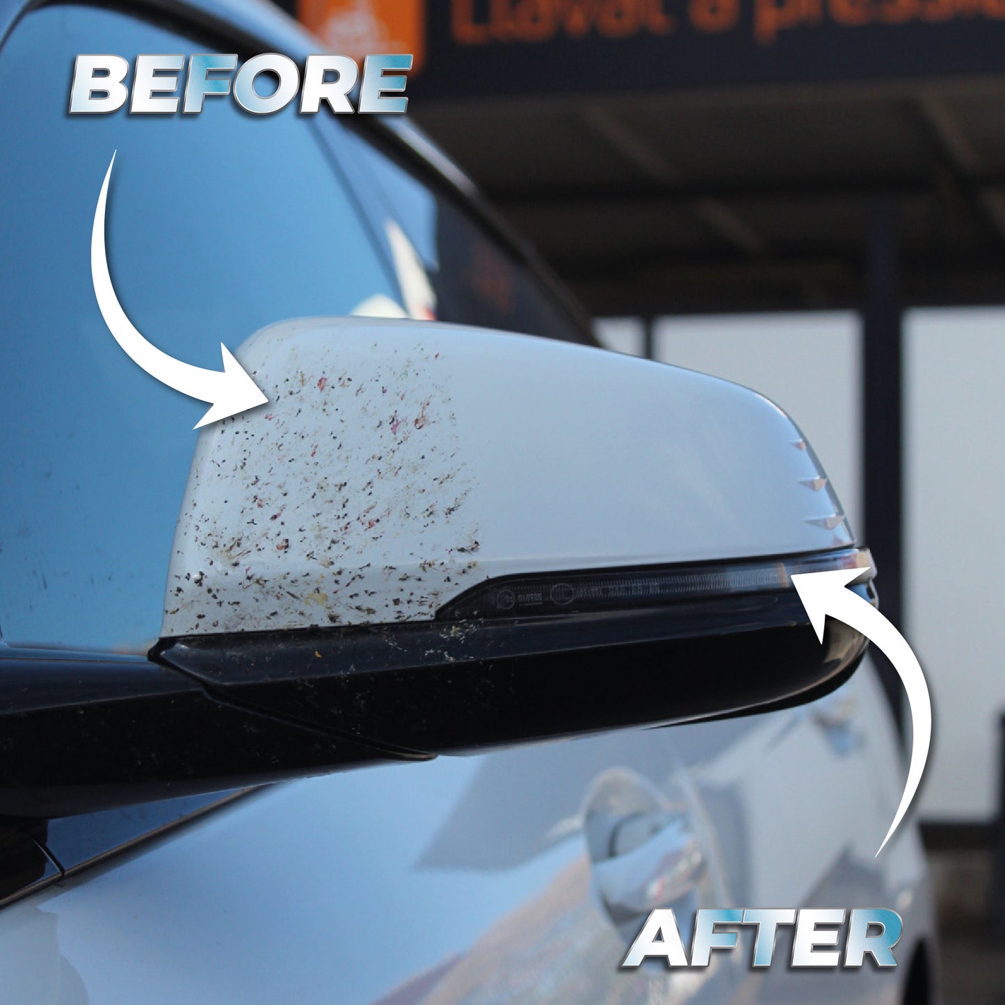 INSECT REMOVER - Insect Cleaner