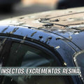 INSECT REMOVER - Limpiador de Insectos